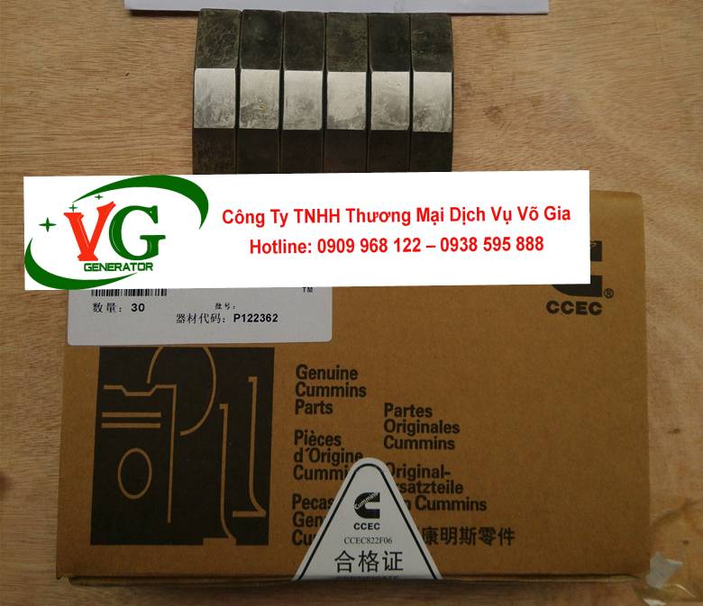 Bộ điều tốc Cummins 3062322